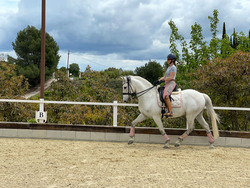 Moda ecuestre Bracomonte equestrian clothing for women marbella